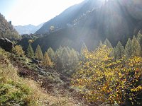 Autunno in Val Varrone (26 ottobre 08) - FOTOGALLERY